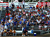 Dark Cloud Supporters