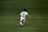 IMG 7033
