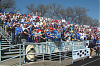 D.C. supporters