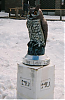Owl Perched