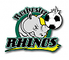 logo rochester