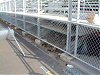 Gap along lower fencing